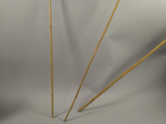 STK_3089.jpg
